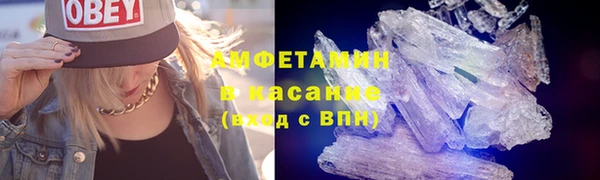 индика Богородск