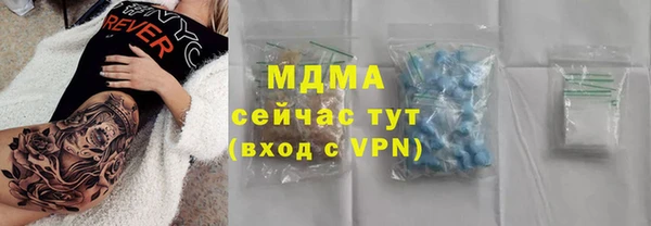индика Богородск