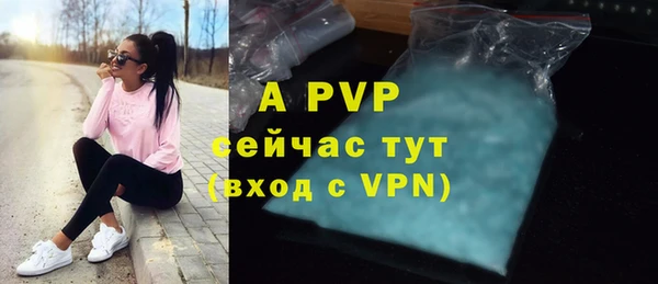 первитин Богданович