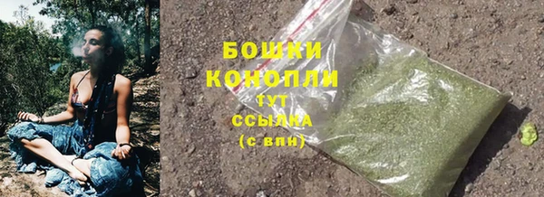 индика Богородск