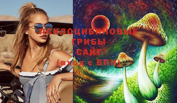 стафф Белокуриха