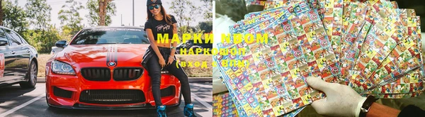 индика Богородск