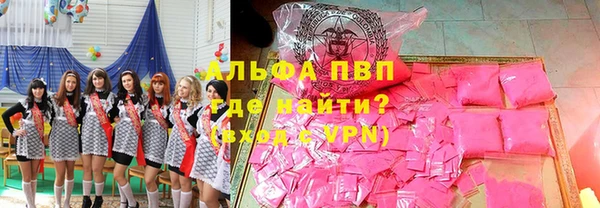 индика Богородск