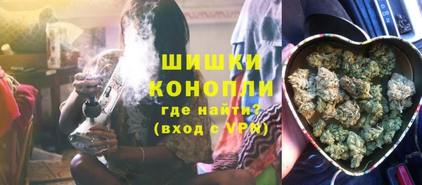 индика Богородск