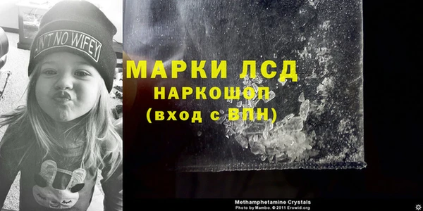 индика Богородск
