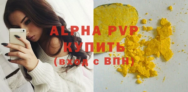 индика Богородск
