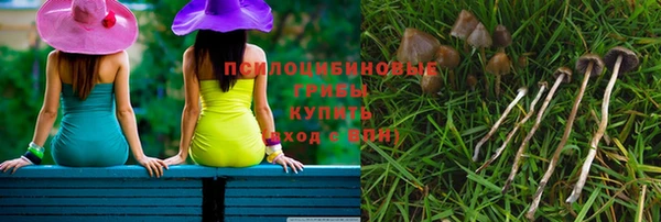 первитин Богданович