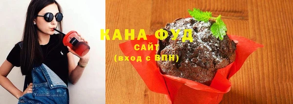 индика Богородск