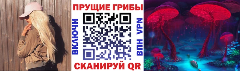 Галлюциногенные грибы Psilocybe  купить наркотики сайты  Дагестанские Огни 