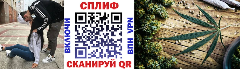 сайты даркнета какой сайт  Дагестанские Огни  Бошки Шишки SATIVA & INDICA 